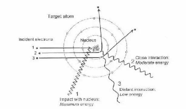 Gambar II.1. Sinar-X Bremsstrahlung yang dihasilkan interaksi elektron dengan inti atom  target (Sumber:The Essential Physics of Medical Imaging,Busberg,2002,hal101) 