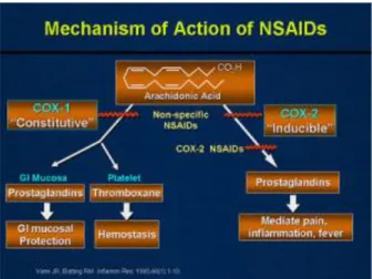 Gambar . Mekanisme aksi NSAIDs (non streroidal antiinflammatory drugs) 