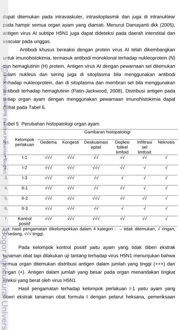 Tabel 5 Perubahan histopatologi organ ayam