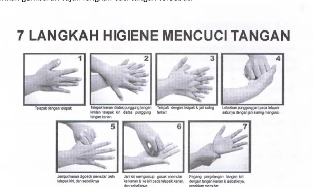 Gambar 1. Tujuh Langkah Mencuci Tangan  2.  Pelaksanaan Praktik 