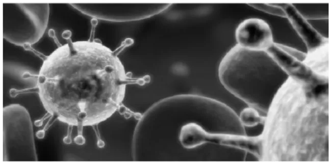 Gambar  1.  Virus  MERS  dari  golongan  Coronavirus 17