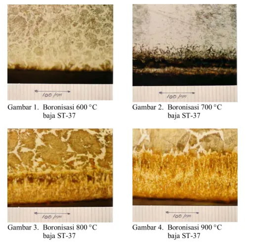 Gambar 3.  Boronisasi 800 °C  