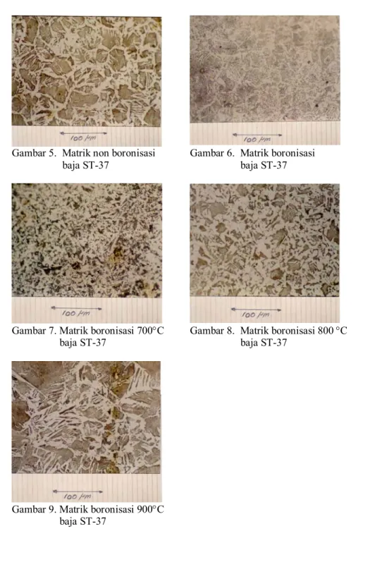 Gambar 7. Matrik boronisasi 700°C  