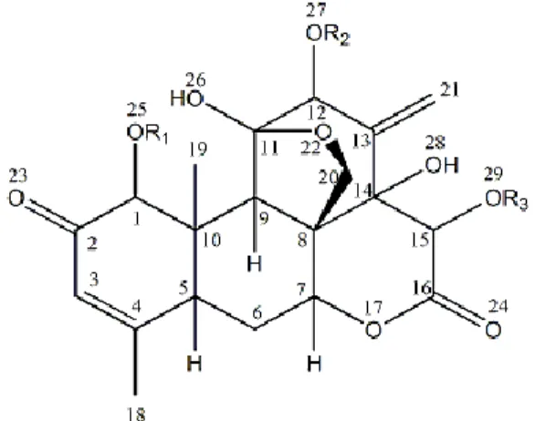Gambar 1. Struktur senyawa Eurikumanon 
