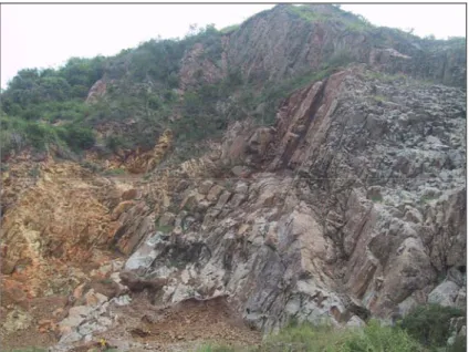 Gambar 3.2 Singkapan andesit di Gunung Pancir menunjukkan struktur   kekar kolom dan perubahan fisik batuan akibat pelapukan 