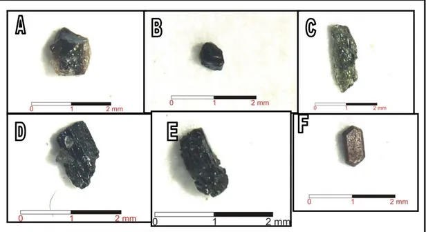 Gambar 6.  Mineral berat pada sampel Andisol yang berkembang dari hasil  erupsi G. Tangkuban Parahu  A: biotit, B: magnetit, C: diopside, D: 