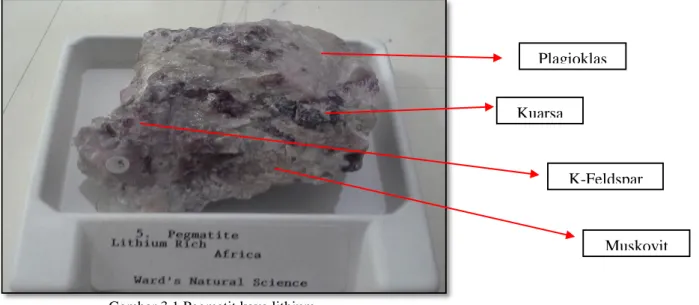 Gambar 3.1 Pegmatit kaya lithium 