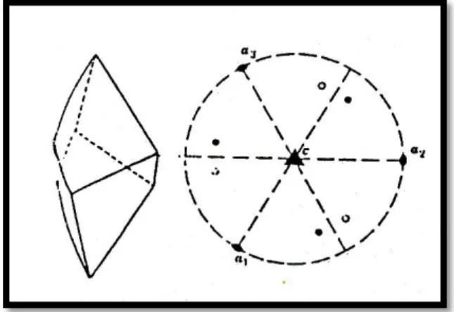 Gambar 6. Simetri kristal kuarsa trigonal trapezohedral (Rinawan, 2002)  Sistem kristal kuarsa heksagonal trapezohedral  