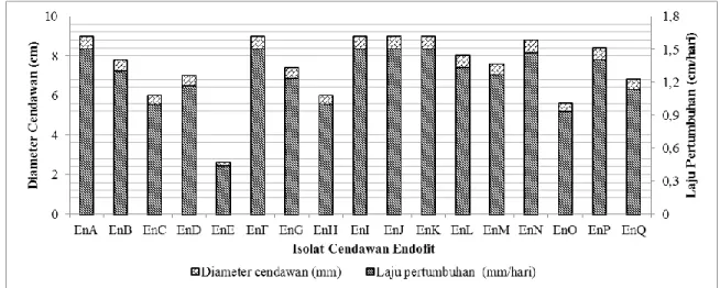 Gambar  1.  Diameter dan laju pertumbuhan cendawan endofit pada cawan petri berdiameter 9 cm 