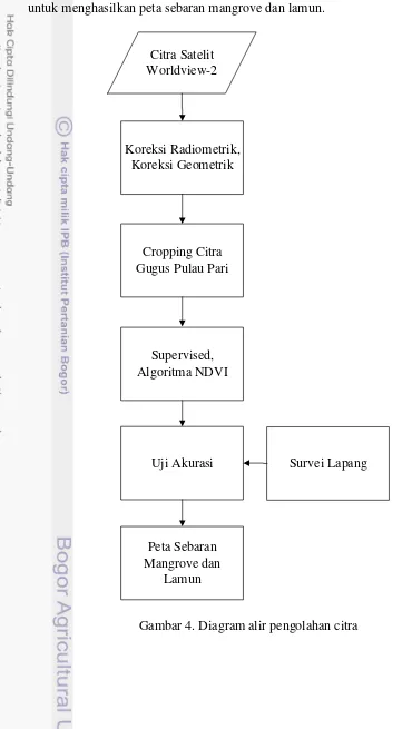 Gambar 4 merupakan diagram alir pengolahan Citra Satelit WorldView-2 untuk menghasilkan peta sebaran mangrove dan lamun
