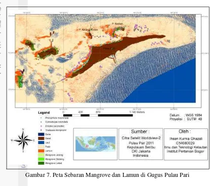 Gambar 7. Peta Sebaran Mangrove dan Lamun di Gugus Pulau Pari 