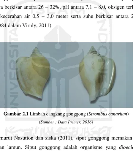 Gambar 2.1 Limbah cangkang gonggong (Strombus canarium) 
