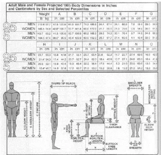 Gambar 2.8 Antropometri Tubuh Manusia  Sumber: Panero, 1979 