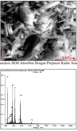 Gambar 3. Data analisis SEM Adsorben Dengan Preparasi Kadar Asam Sulfat 2% dan 600 0 C 