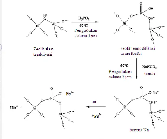 Gambar 4 Skema reaksi modifikasi zeolit PNa 2  (Panneerselvam et al. 2008) 