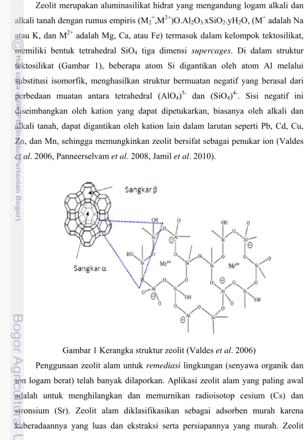 Gambar 1 Kerangka struktur zeolit (Valdes et al. 2006) 