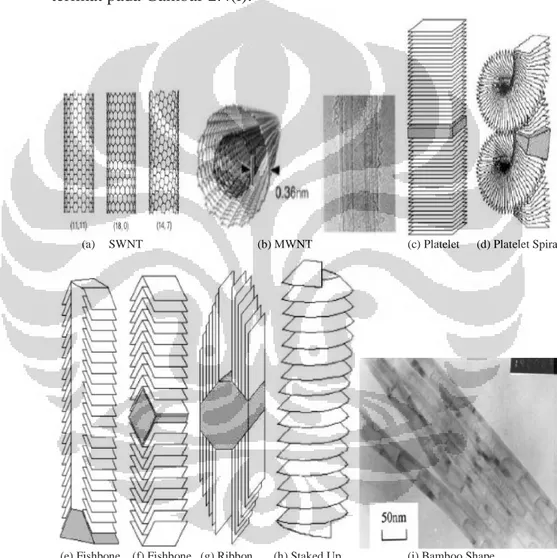 Gambar 2.4 Beragam Struktur Nanokarbon (Rao, 2001;He, 2006; Gullon,2006) 