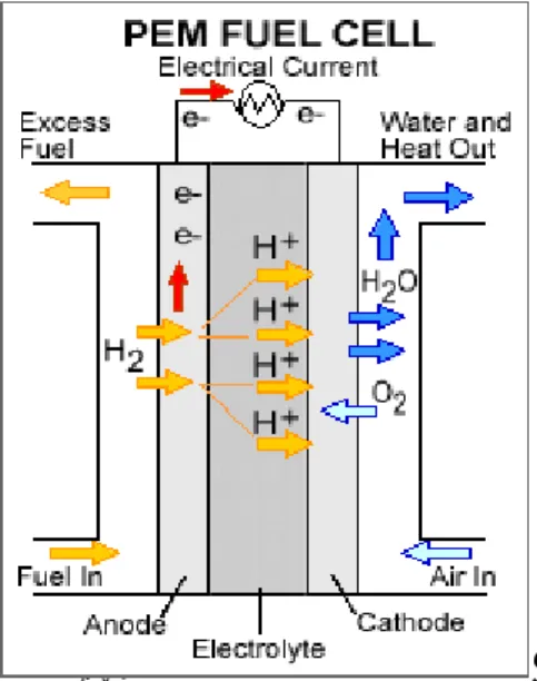 Gambar 1. Aliran hidrogen dan oksigen  di dalam sel bahan bakar PEM  Tabel  1.  Jenis  Sel  bahan  bakar  dan  karakteristik  Jenis  Elektrolit  Tem perat ur  Oper asi  ( o C)  Karakteristik  Penggunaan  Polymer  Exchange  Membrane  (PEM)  Polymer  elektrl