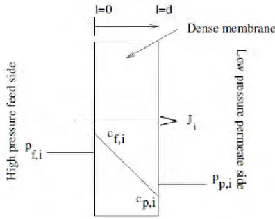Gambar 2.5  Teori Solusi-Difusi Untuk Penyebaran Gas Melalui  Membran Berjenis Polimer [8] 