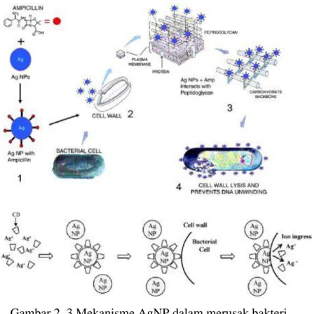 Gambar 2. 3 Mekanisme AgNP dalam merusak bakteri  Sumber:(K. Zheng et al., 2018) 