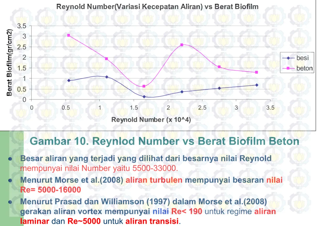 Gambar 10. Reynlod Number vs Berat Biofilm Beton