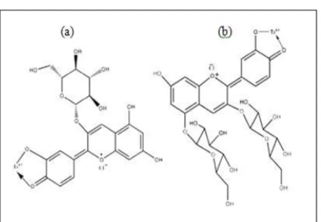 Gambar 2.Ikatan struktur kimia antara TiO 2  dengan   (a) cyanidin-3-glucoside (b) cyaniding  3,5-diglucoside(Singh et al., 2014)  Keterangan: cyanidin-3-glucoside dan 