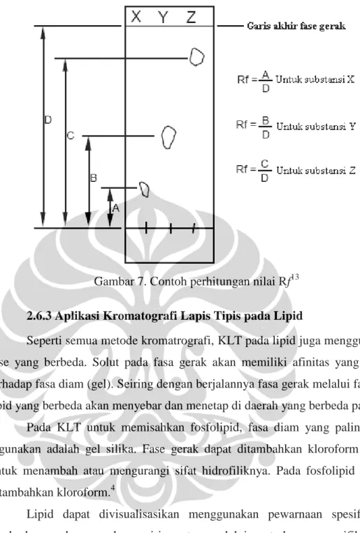 Gambar 7. Contoh perhitungan nilai Rf 13