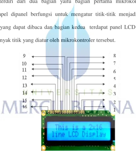Gambar 2.12 Fisik LCD 2x16 