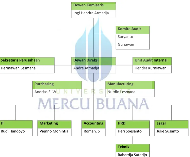 Gambar 2.2 Struktur Organisasi Umum 