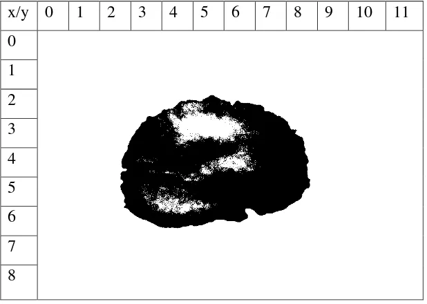 gambar “citra jamur” dengan ukuran lebar 12 pixel dan panjang 9 pixel seperti 