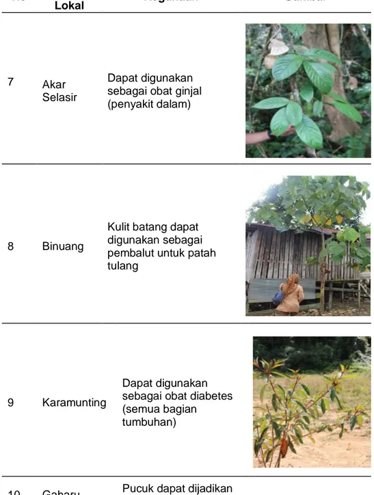 Tabel 4.2. Potensi Hasil Hutan Bukan Kayu di Desa Panaan (lanjutan)  No  Nama 
