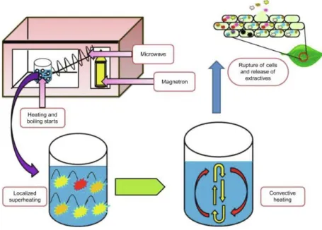 Gambar 2.4 Microwave Assisted Extraction  (Mukherjee, 2019) 
