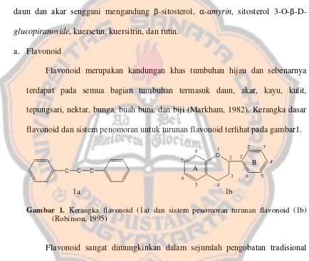 Gambar 1. Kerangka flavonoid (1a) dan sistem penomoran turunan flavonoid (1b) 
