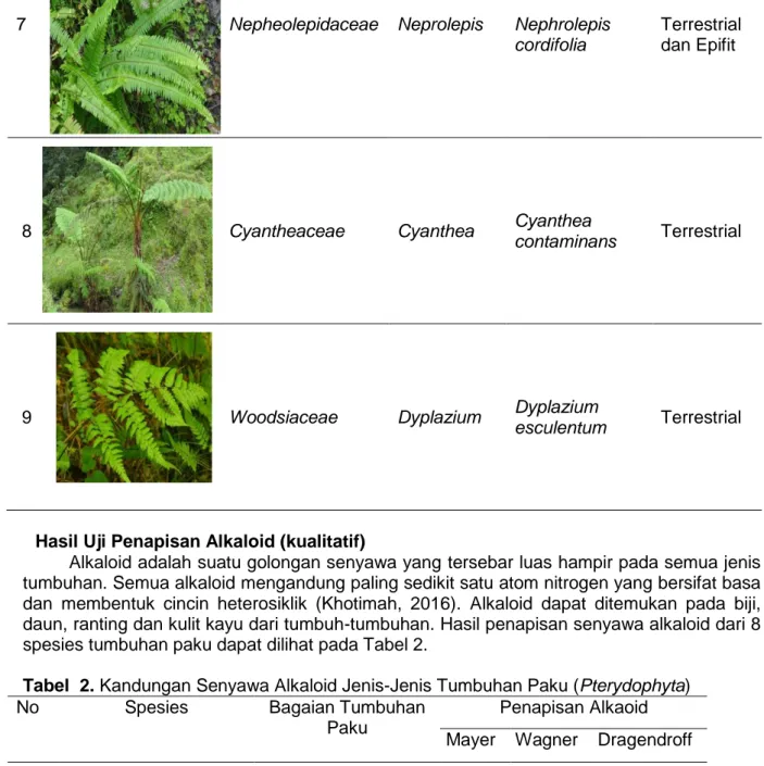 Tabel  2. Kandungan Senyawa Alkaloid Jenis-Jenis Tumbuhan Paku (Pterydophyta) 