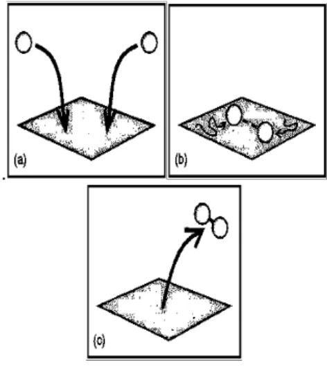 Gambar 2. Mekanisme Langmuir-Hinshelwood- Langmuir-Hinshelwood-Hougen-Watson 