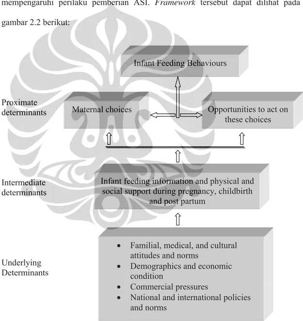 Gambar 2.2 Model of Determinants of Breastfeeding Behaviour (Lutter, 2000 dalam  WHO, 2003)