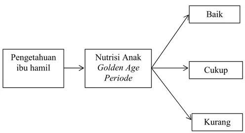 Gambar 2.1 Kerangka Konsep Penelitian  Baik  Cukup  Kurang Nutrisi Anak Golden Age Periode Pengetahuan ibu hamil  