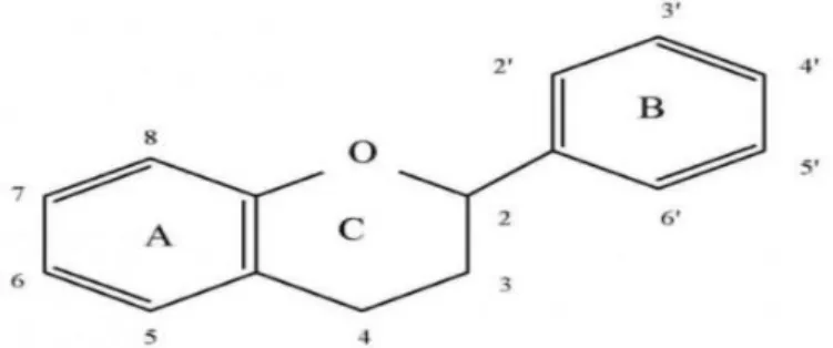 Gambar 3. Struktur Kimia Flavonoid (Harborne, 1996). 