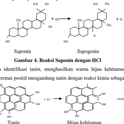 Gambar 4. Reaksi Saponin dengan HCl 