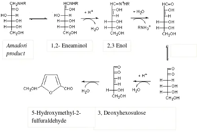 Gambar 3. Mekanisme reaksi Maillard (konversi amadori product menjadi HMF) Sumber : BeMiller dan Whistler (2007) dalam Damodaran dkk