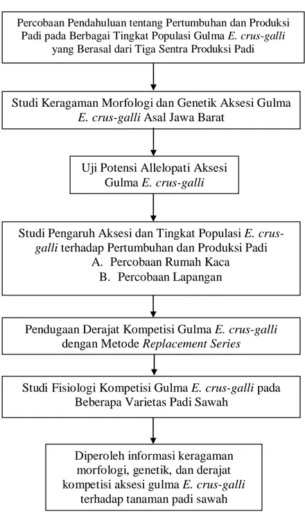 KERAGAMAN MORFOLOGI DAN GENETIK SERTA DERAJAT KOMPETISI BEBERAPA AKSESI ...