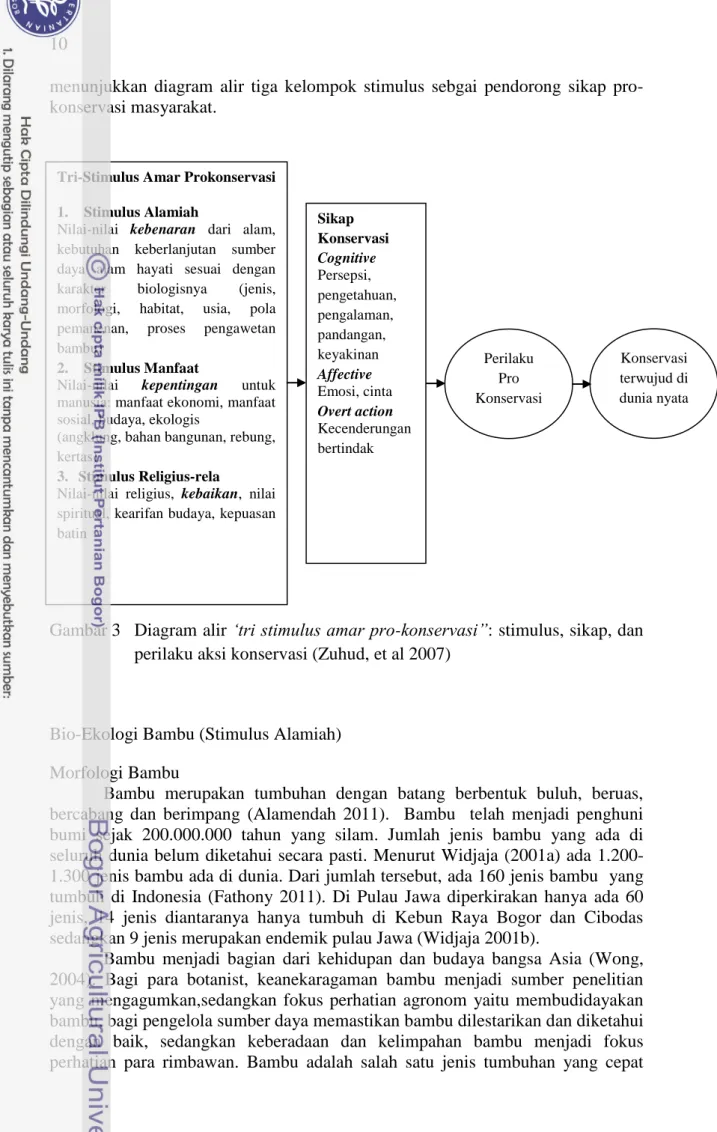 Gambar 3   Diagram alir „tri stimulus amar pro-konservasi”: stimulus, sikap, dan  perilaku aksi konservasi (Zuhud, et al 2007) 