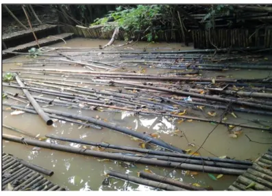 Gambar 25 Proses pengawetan bambu dengan metode perendaman 