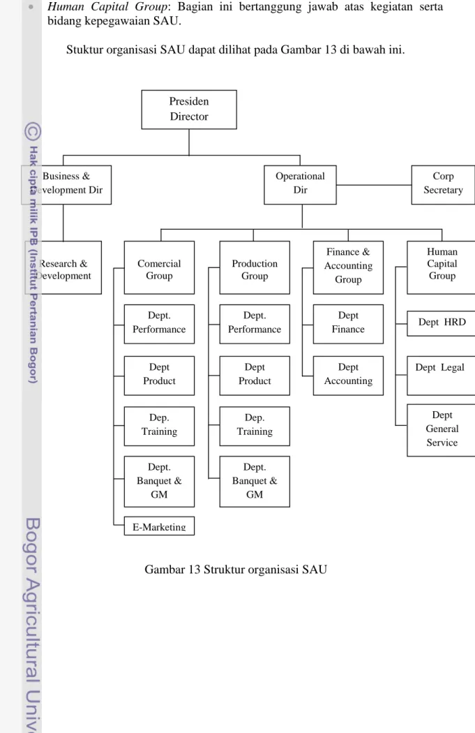 Gambar 13 Struktur organisasi SAU 