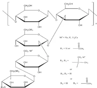 Gambar 2.3 Struktur kimia xanthan gum (Rowe, dkk., 2009). 