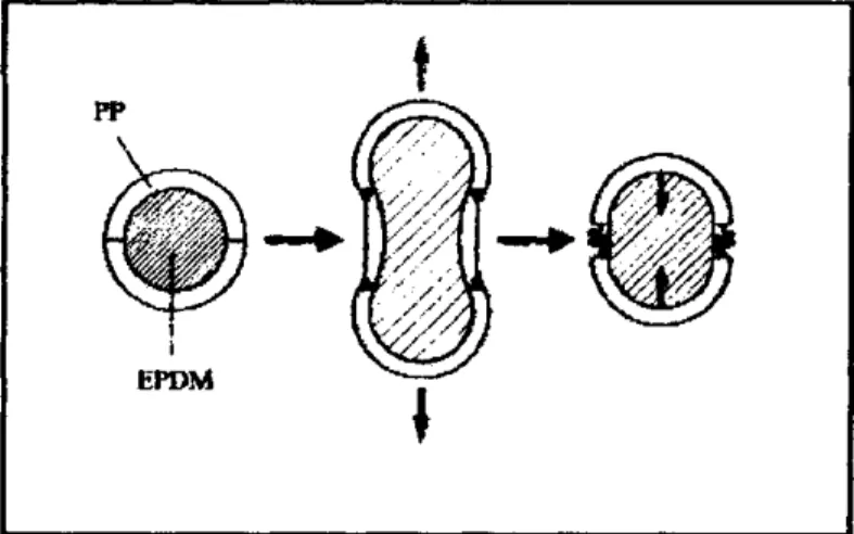 Gambar 2.2. Model mekanisme deformasi TPV 