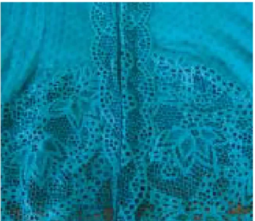 Gambar 6.4: Tas kain dari Candung, Sumatera Barat, dihias dengan sulam