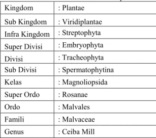 Tabel 2.1 Klasifikasi Tanaman Kapuk  Kingdom  : Plantae 