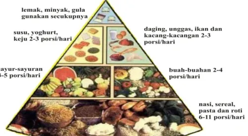Gambar 4  Piramida makanan yang dianjurkan untuk hidup sehat. 