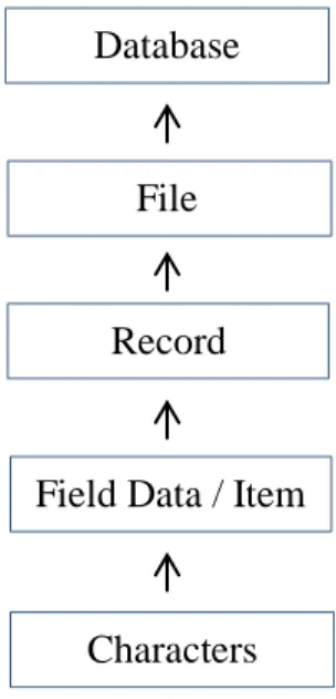 Gambar 2.1 Jenjang Data Database 